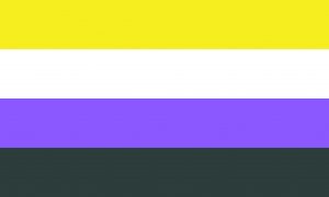 non-binary-pride-flag
