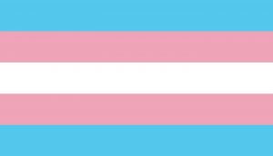 transgender-pride-flag